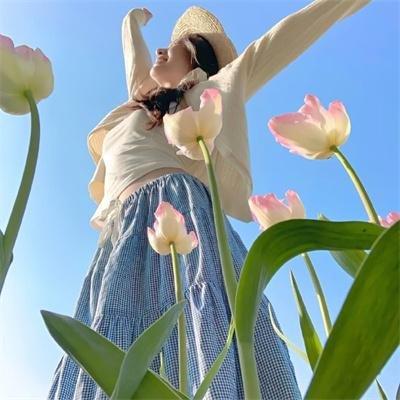 淘气托托大冒险